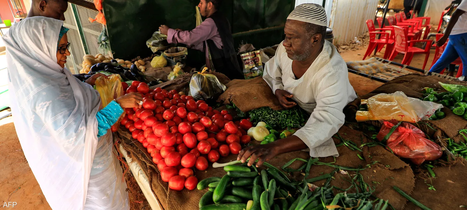 يعد السودان أغنى الدول العربية والإفريقية من حيث ثروته الزراعية